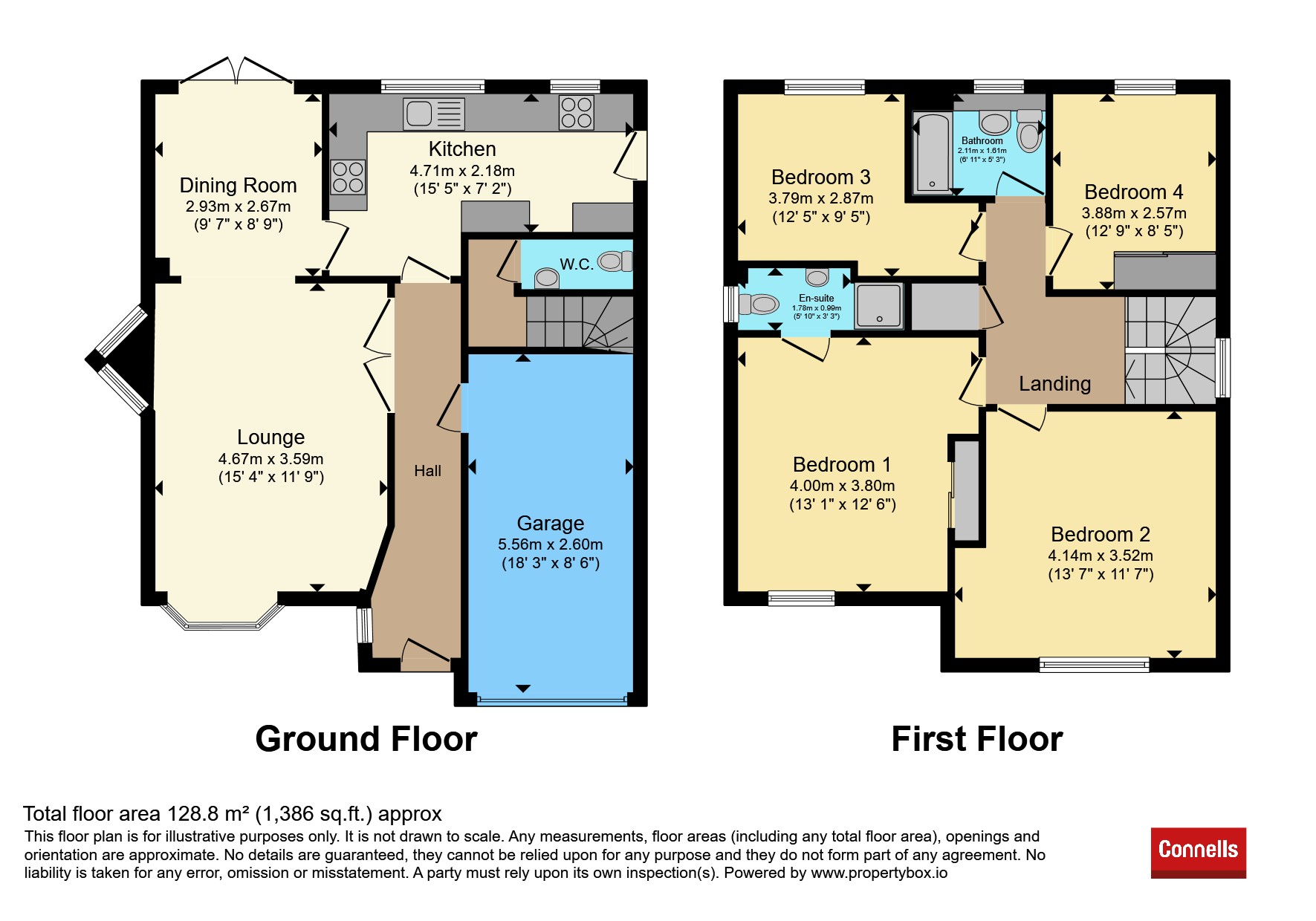53, Molloy Road, ASHFORD floorplan