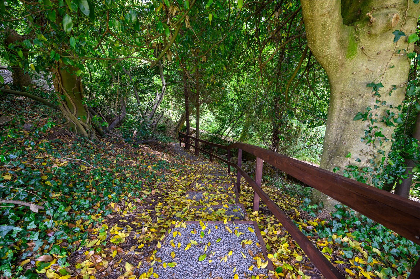 Photos of Hepburn Gardens, St. Andrews, Fife KY16 61902218