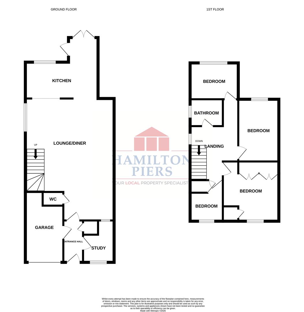 Daffodil Way, Chelmsford floorplan