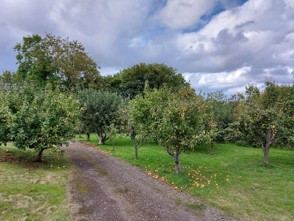 Photos of Bossington Lane, Porlock, Minehead, Somerset TA24 66176199