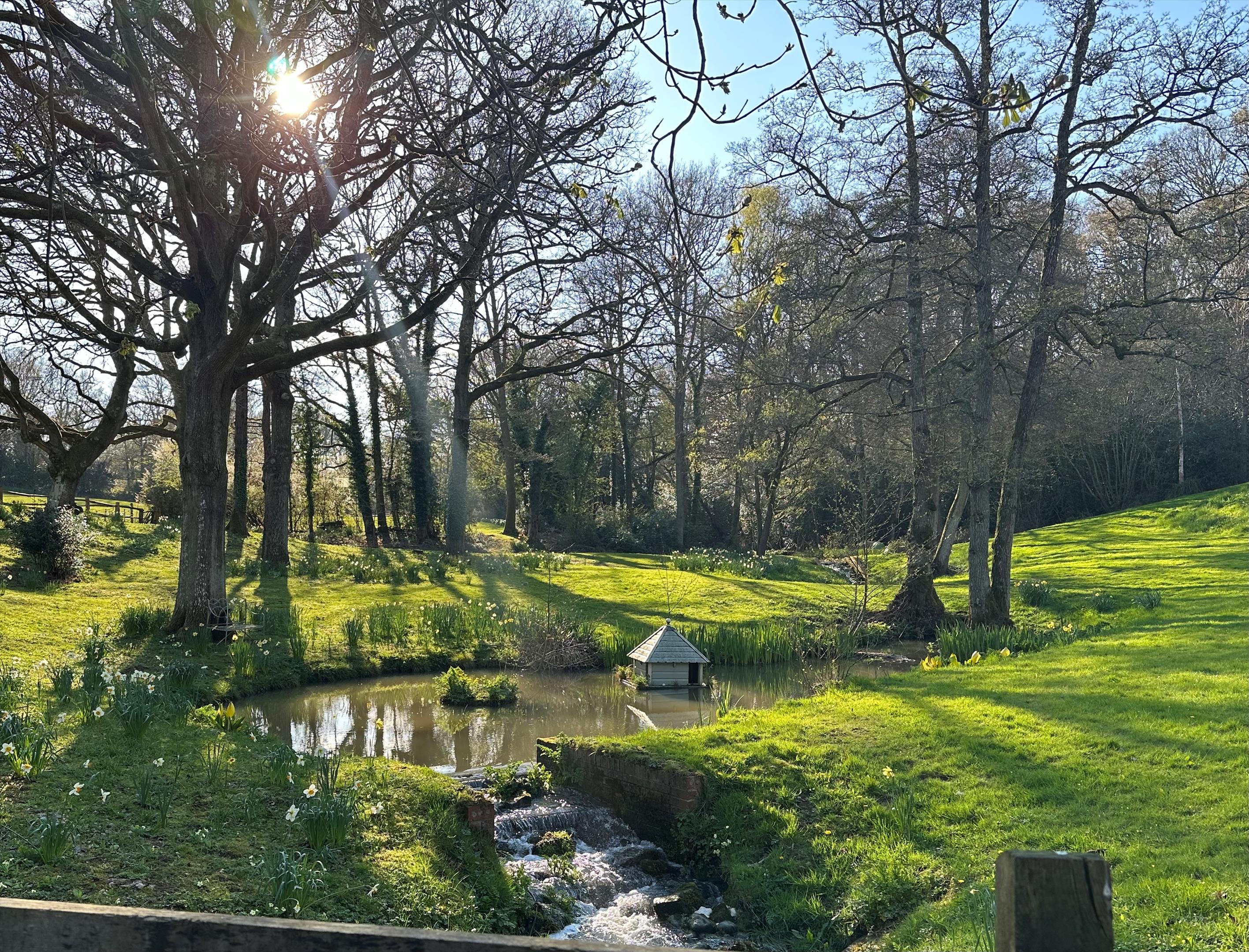 Photos of Mill Lane, Chiddingfold, Godalming, Surrey GU8. 64945271