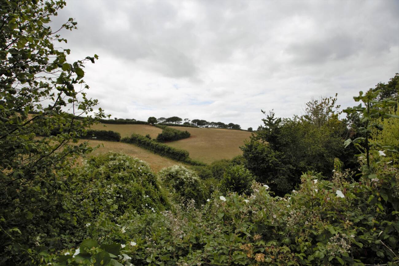 Photos of Highfield Crescent, Paignton TQ3 65179591 PrimeLocation