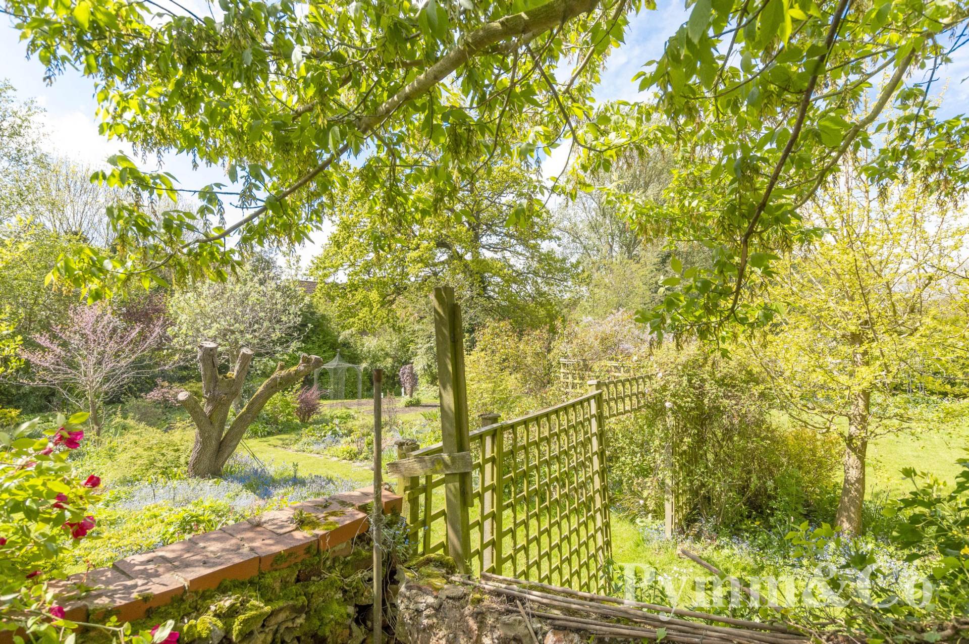 Photos of Damgate Street, Wymondham NR18 67258401 PrimeLocation