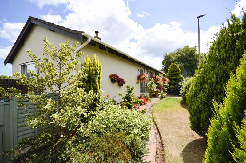 Photos of Drive, Brixham TQ5 62127445 PrimeLocation