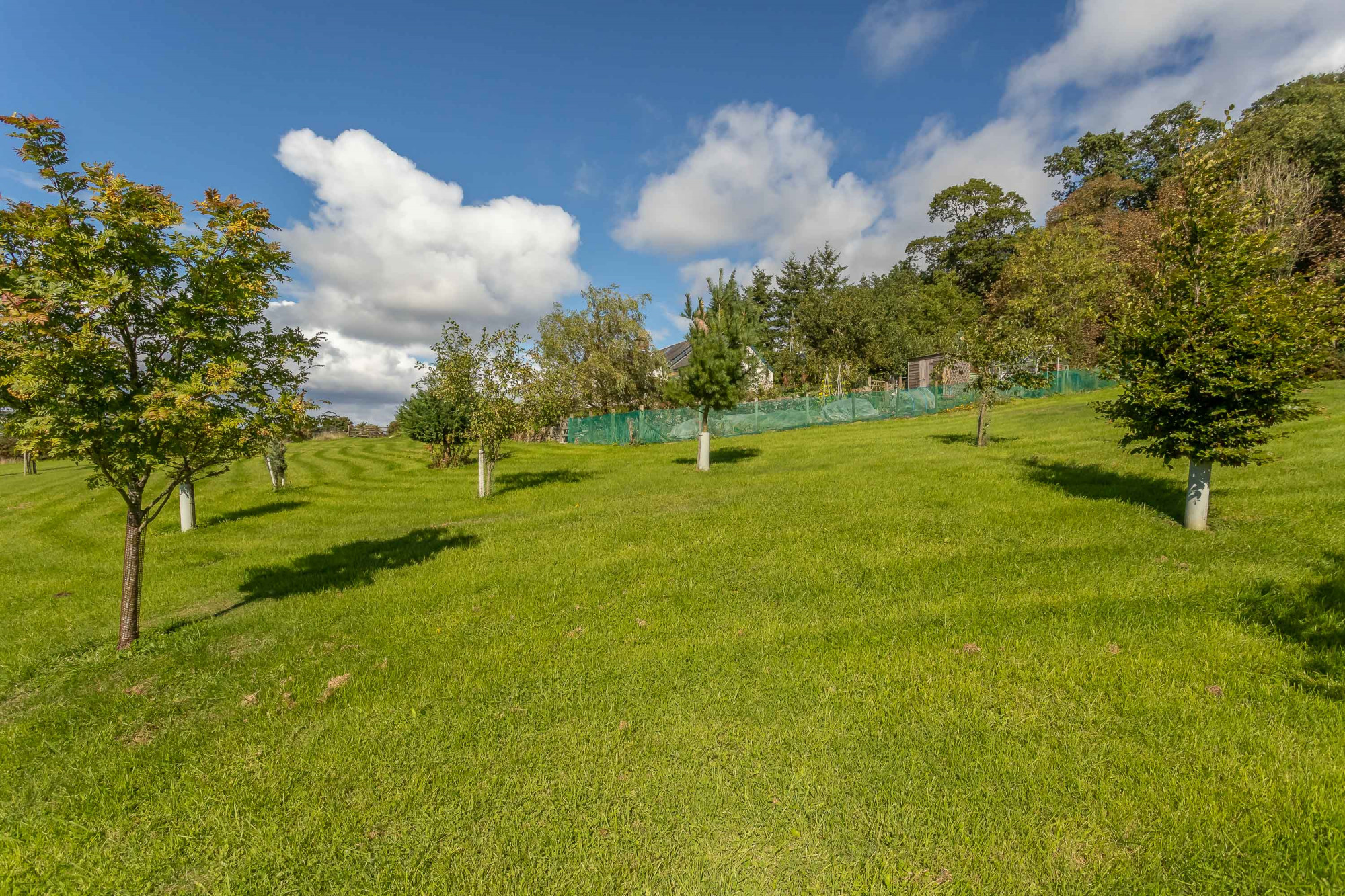 Photos of Countlaw Cottage, Bonnington Road, Blairgowrie, Perthshire