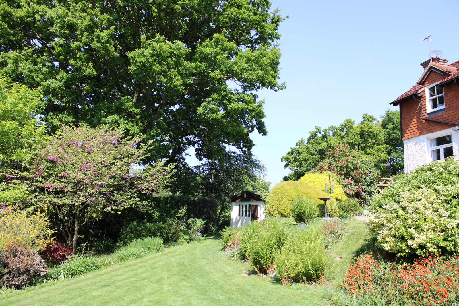 Photos of Telham Lane, Battle, East Sussex TN33 64558925 PrimeLocation