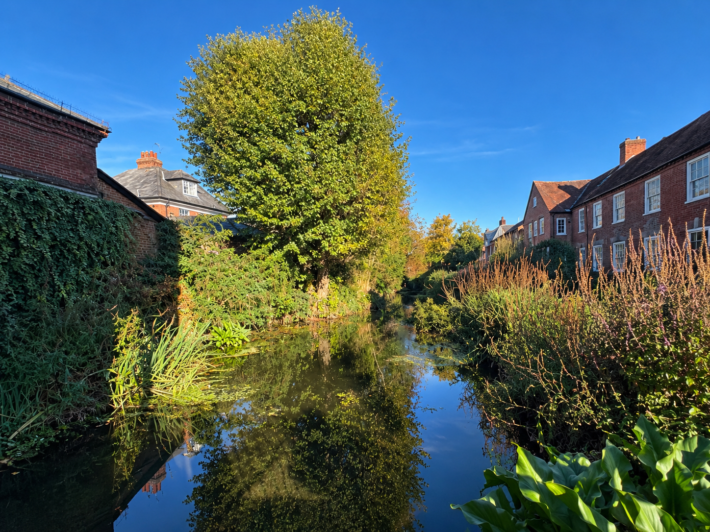 1, Romsey photo 5