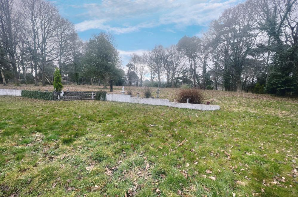 Photos of Boundary Lane, St Leonards BH24 64181244 PrimeLocation