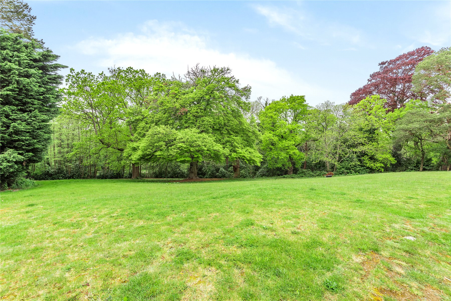 Photos of Westerham Road, Keston BR2 58930197 PrimeLocation