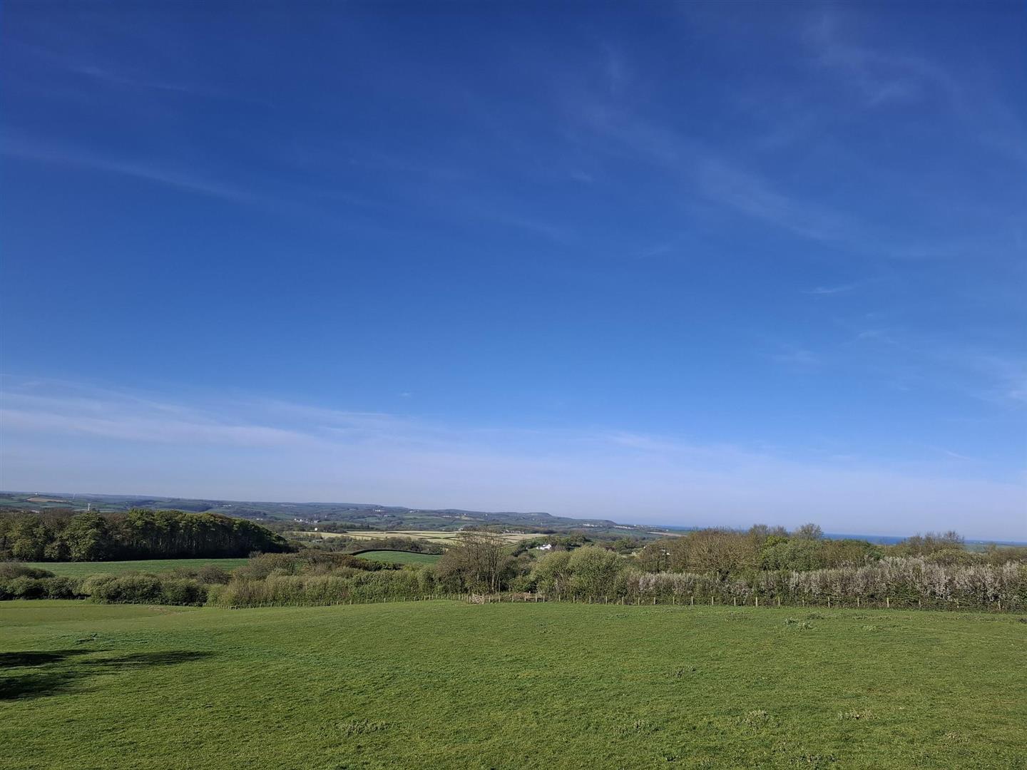 Coming Soon, Holsworthy photo 2