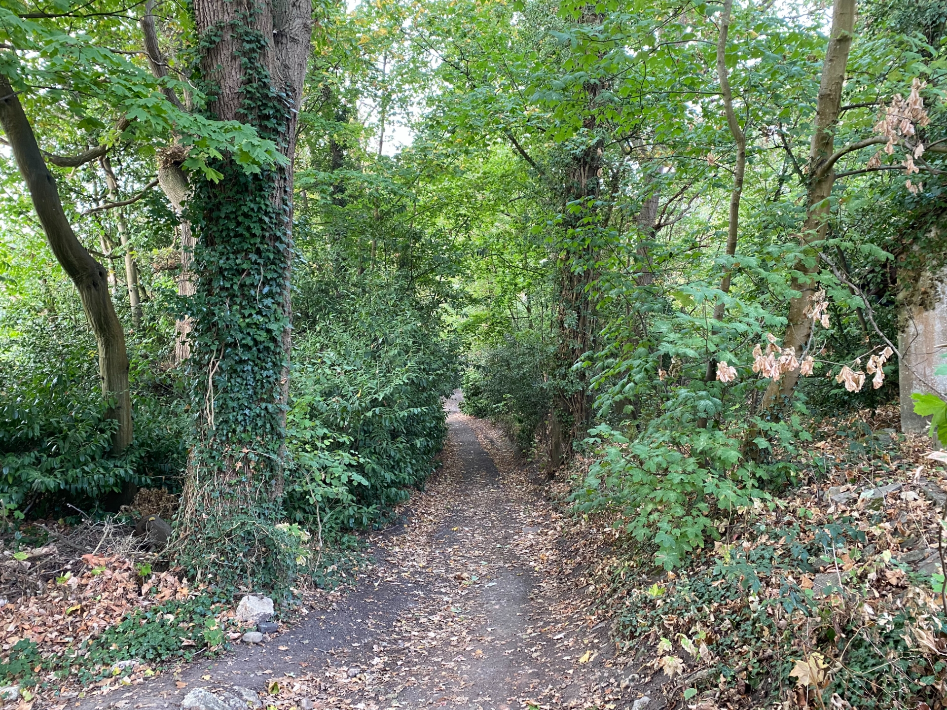 Copper Beech Close, Surrey photo 5
