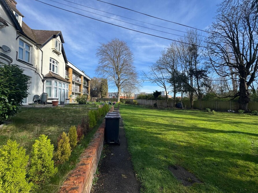 2, Orpington photo 5