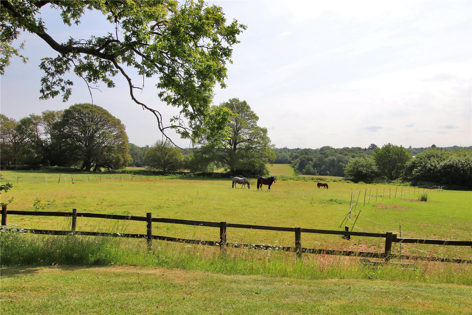 Photos of Headley Common Road, Headley, Epsom, Surrey KT18 61275063