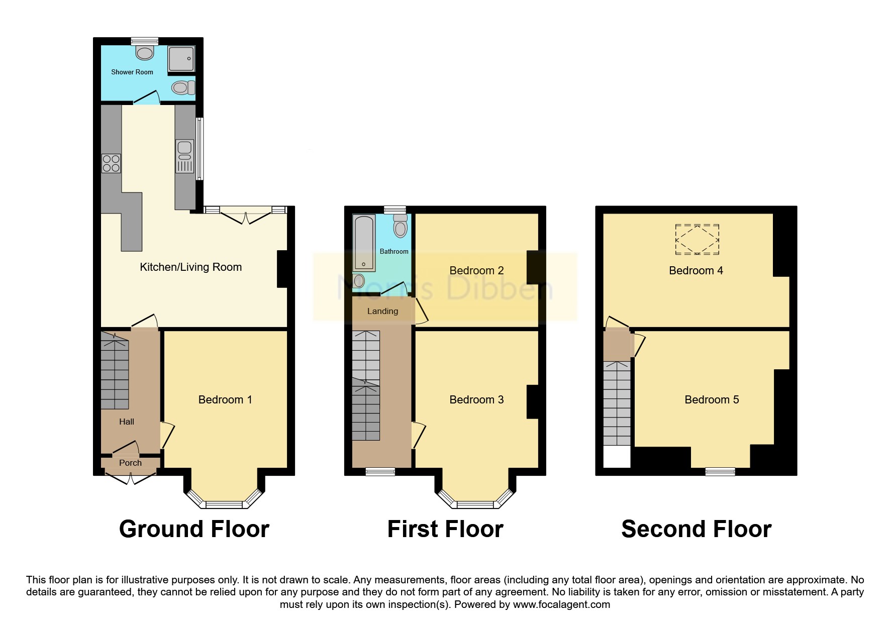 12, Gladys Avenue, Hampshire floorplan