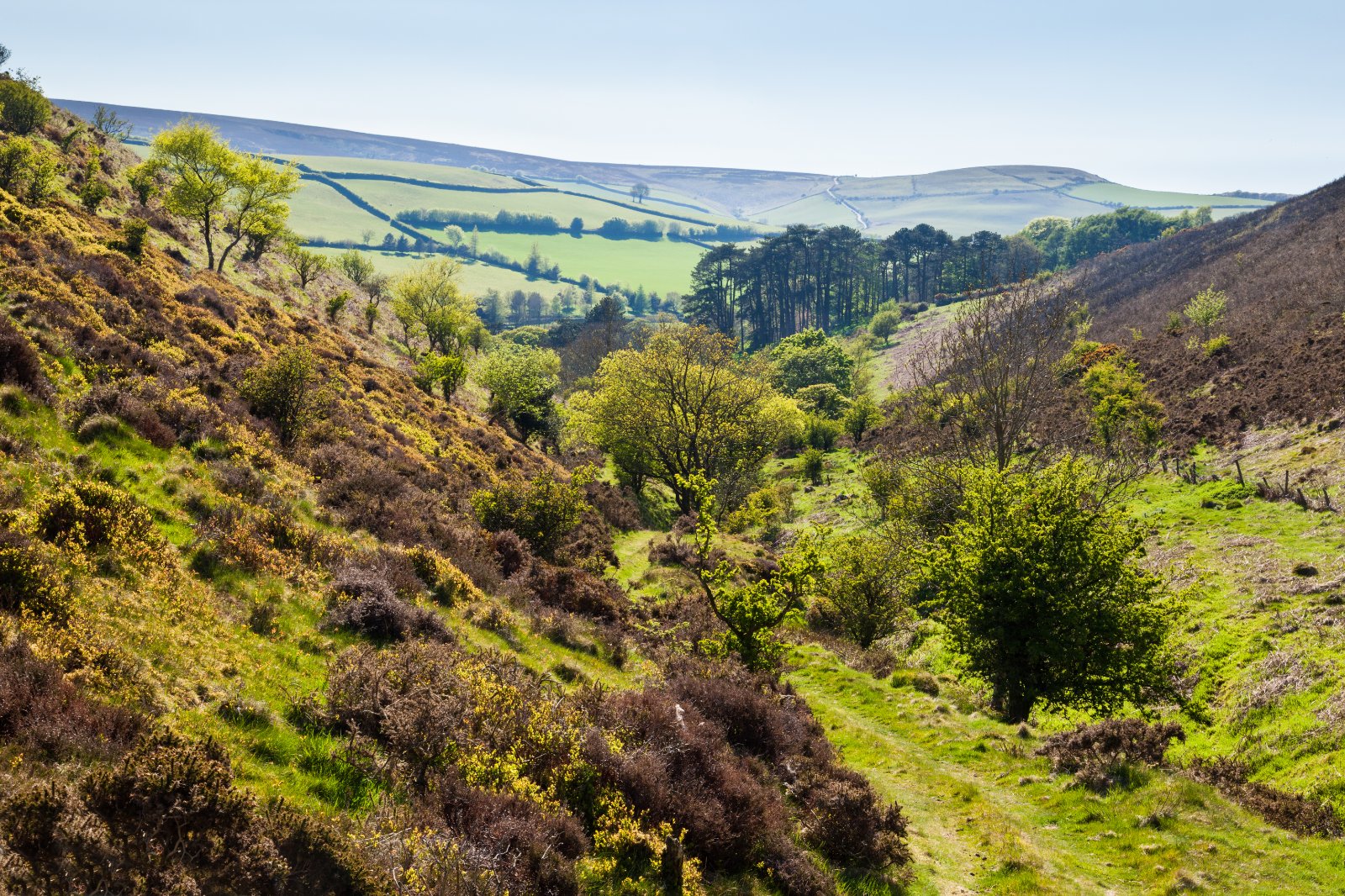 Photos of Oare, Exmoor, West Somerset EX35 55519964 PrimeLocation
