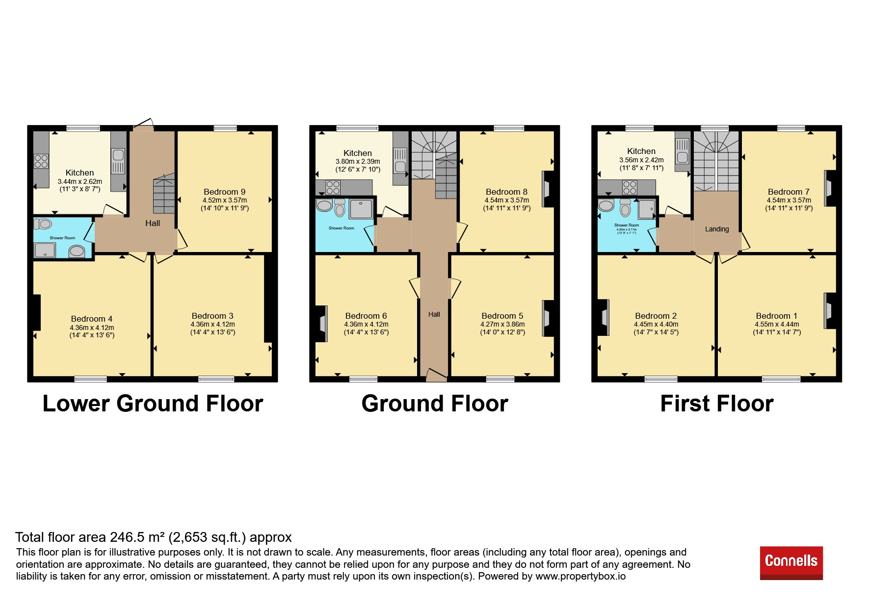 10, Wilton Street, Plymouth floorplan