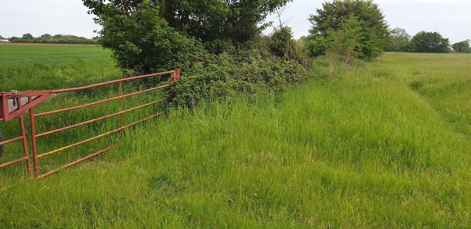 Albion House, Common Road, Dickleburgh, Diss, IP21 4PJ - listing photo