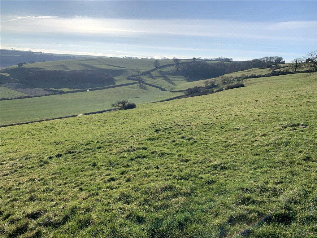 Photos of Henley, Dorchester DT2 66623796 PrimeLocation