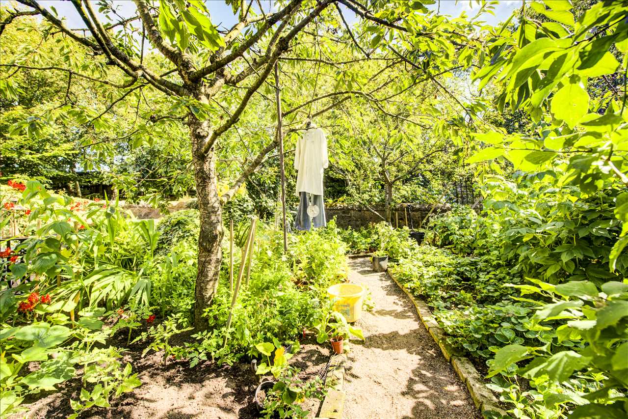 Photos of Woodend Gardens, Dalgety Bay, Hillend KY11 62113040