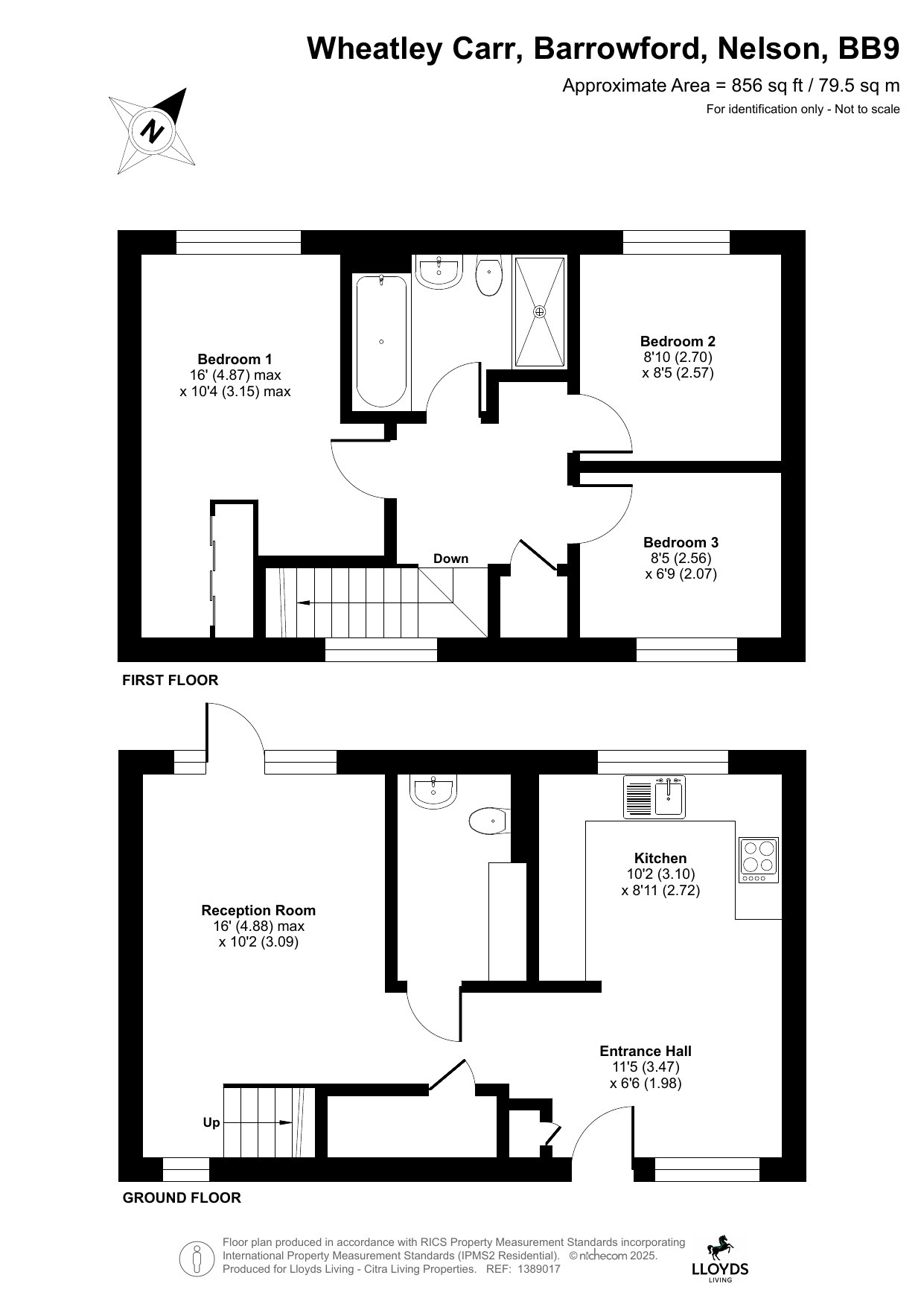 330, Nelson floorplan
