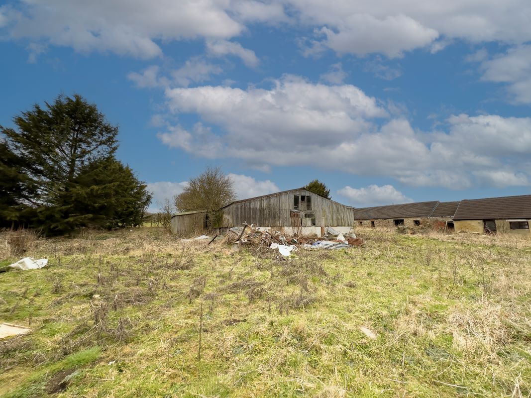 Photos of Brooklyn Farm Broom Dykes, Houghton Bank, Heighington
