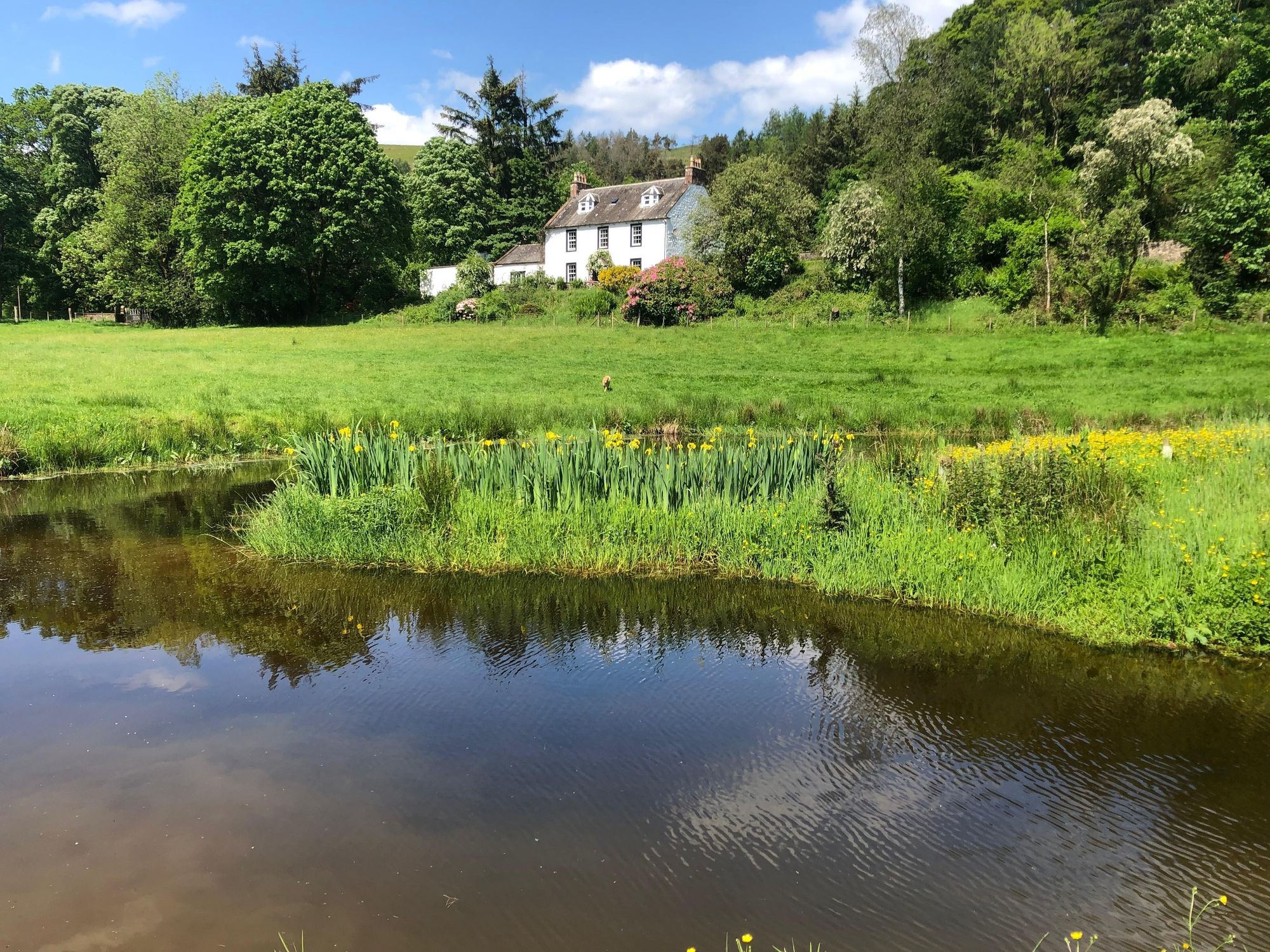 3 bedroom detached new house for sale in Swanage