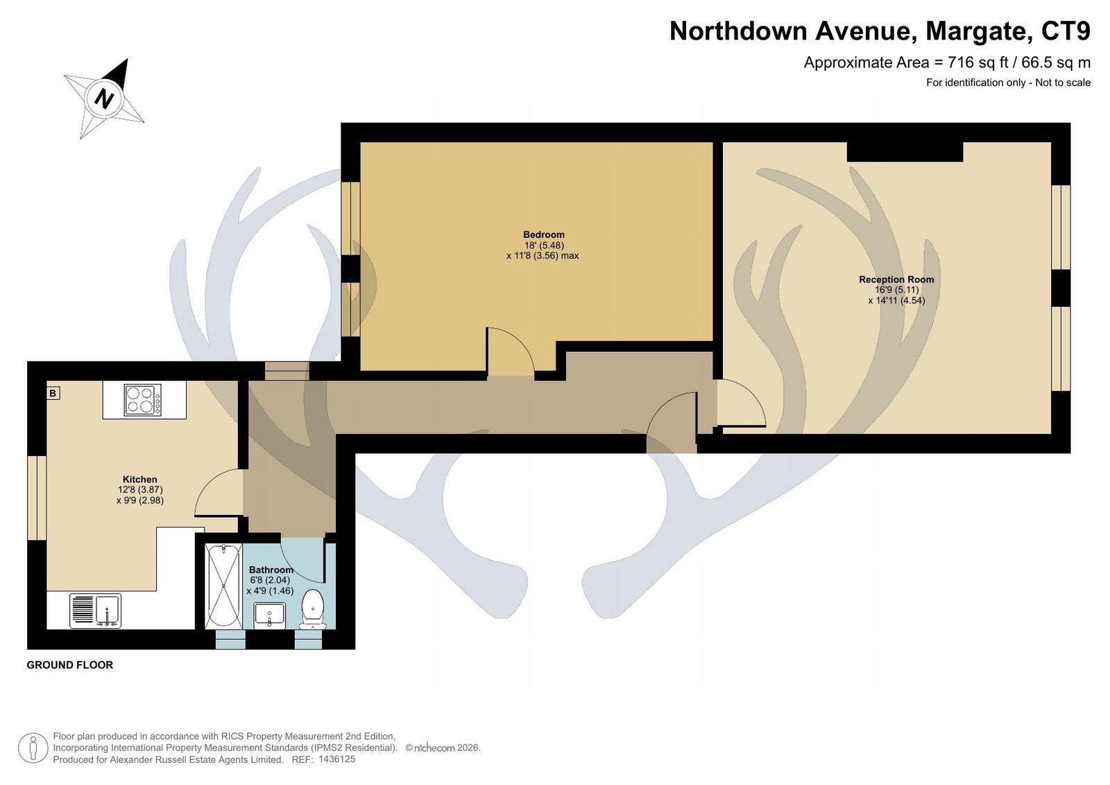 29d, Northdown Avenue, Margate floorplan