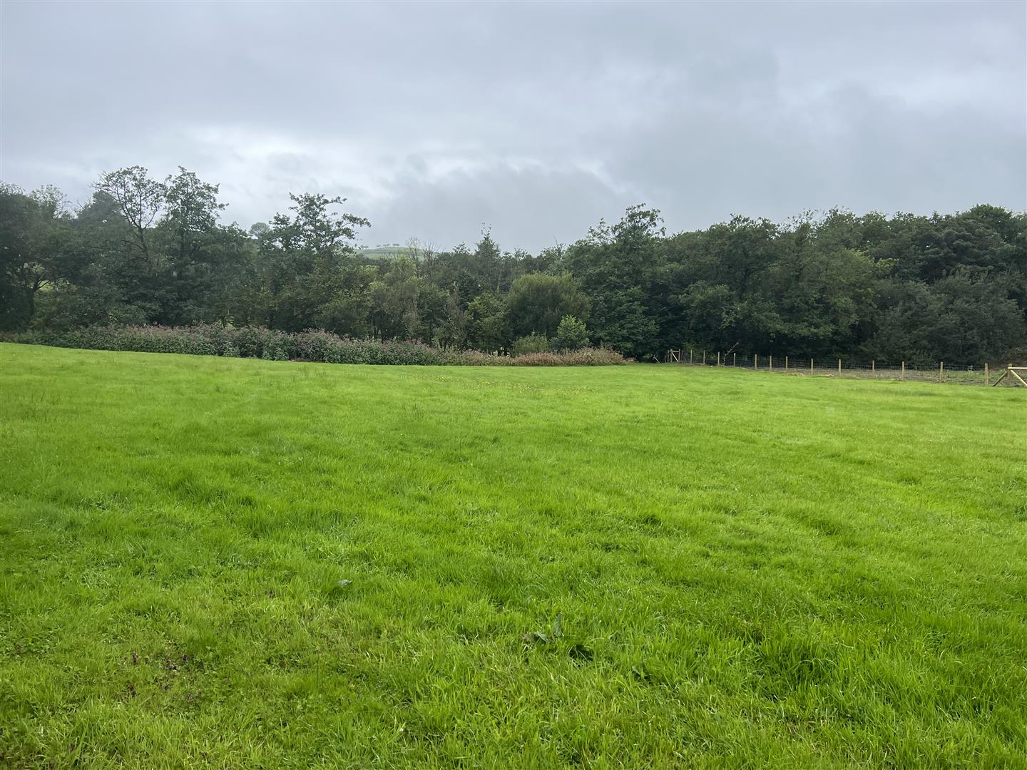 Photos of Marlais Park, Carmel, Llanelli SA14 65427522 PrimeLocation