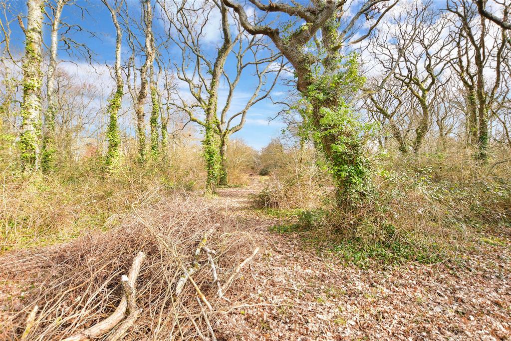 Photos of Solent Road, Cranmore, Yarmouth, Isle Of Wight PO41