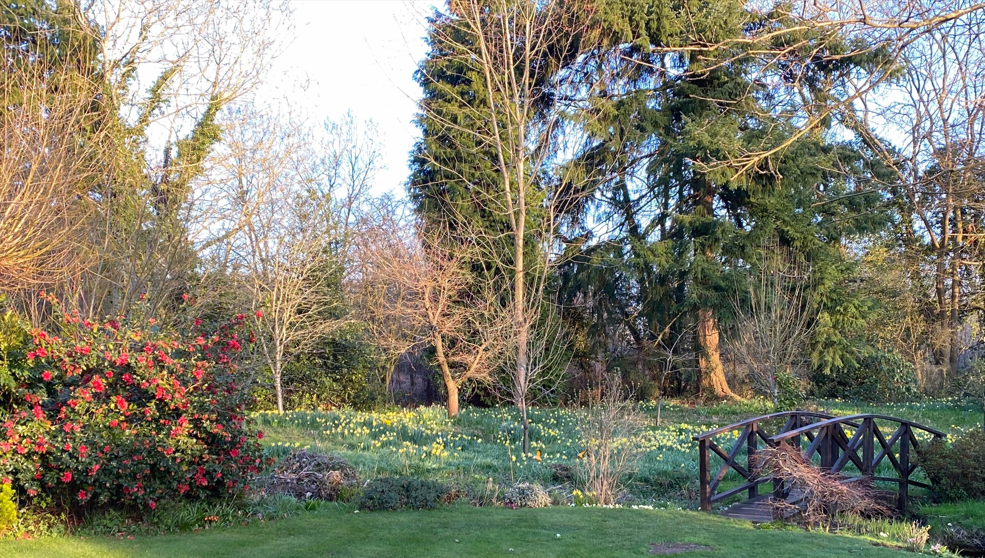 Photos of Fox Corner, Worplesdon, Guildford, Surrey GU3. 66707914