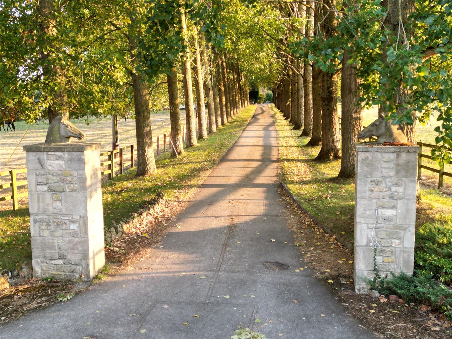 6 bedroom detached house for sale 0