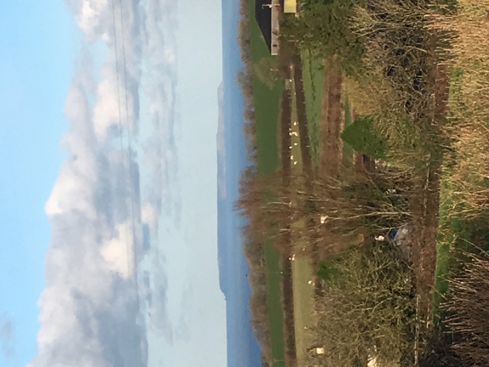 Photos of Horns Cross, Bideford Devon EX39 61714941 PrimeLocation