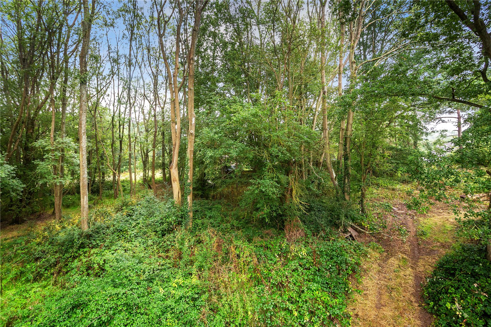 Photos of Reigate Road, Hookwood, Horley, Surrey RH6 65506155