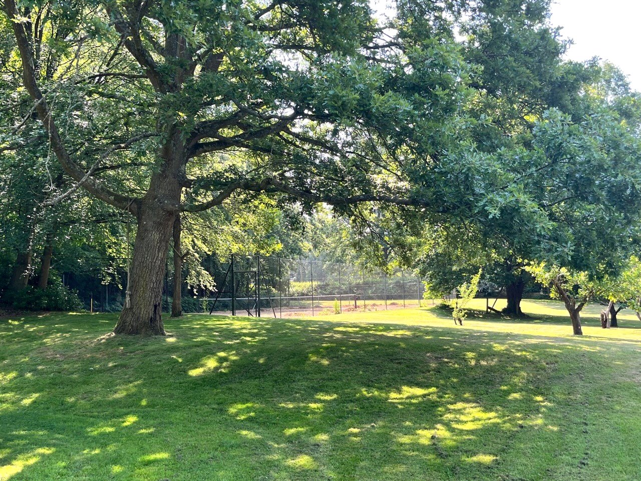 Photos of Ryedown Lane, East Wellow, Hampshire SO51 64888066