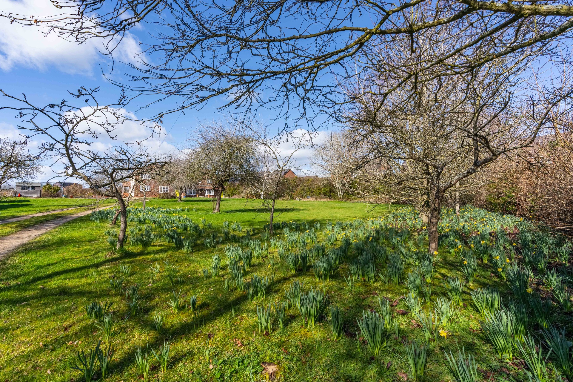 Photos of Brickyard Lane, Drakes Broughton, Pershore WR10 64342332