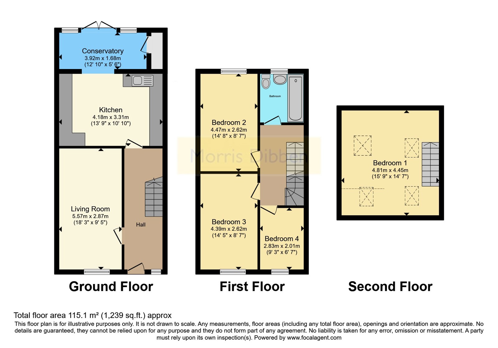 49, Adelaide Road, Hampshire floorplan