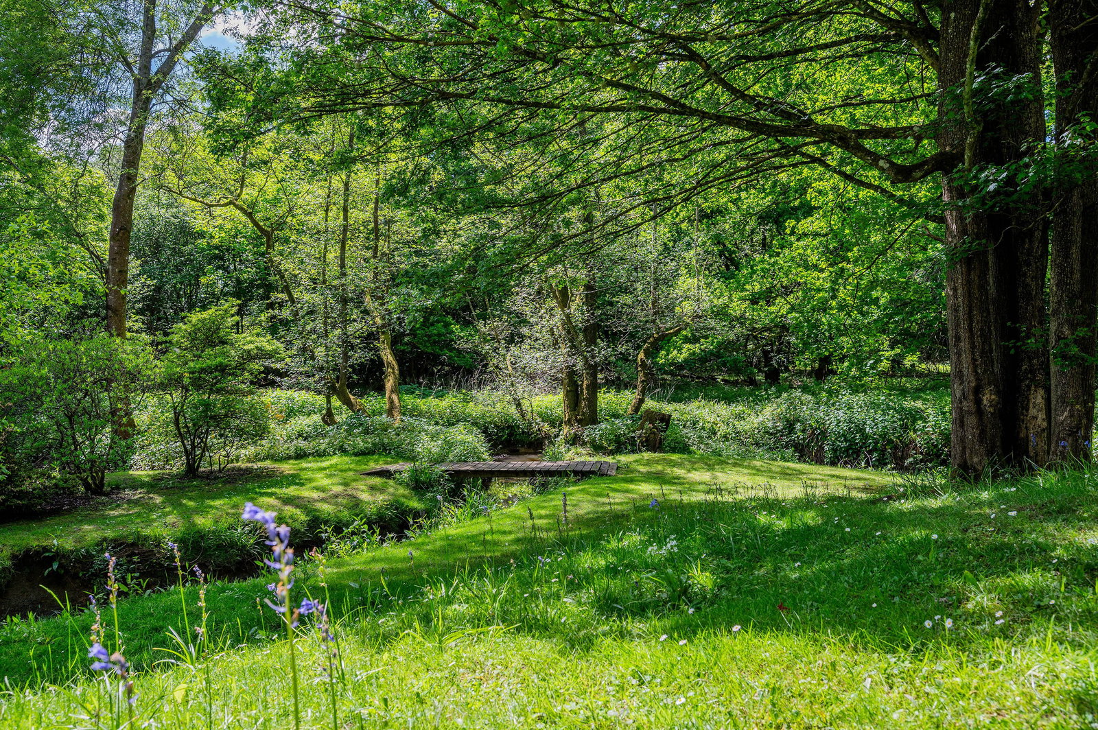 4 bedroom detached house for sale 0