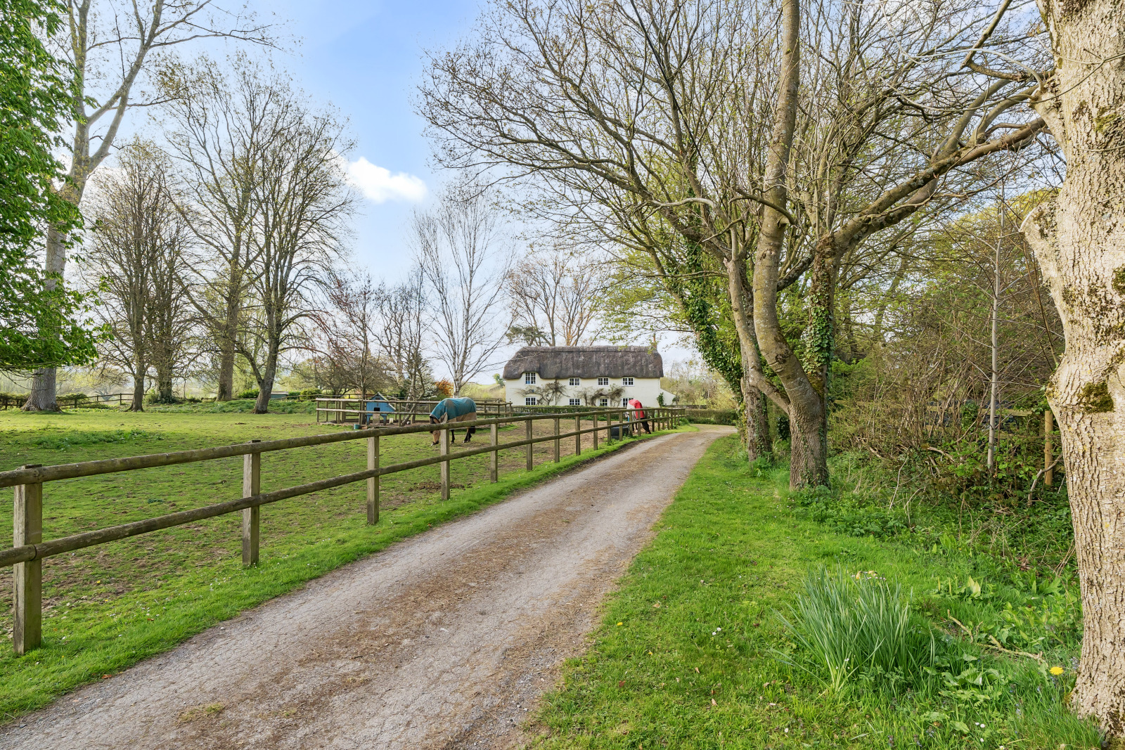 5 bedroom equestrian property for sale 0
