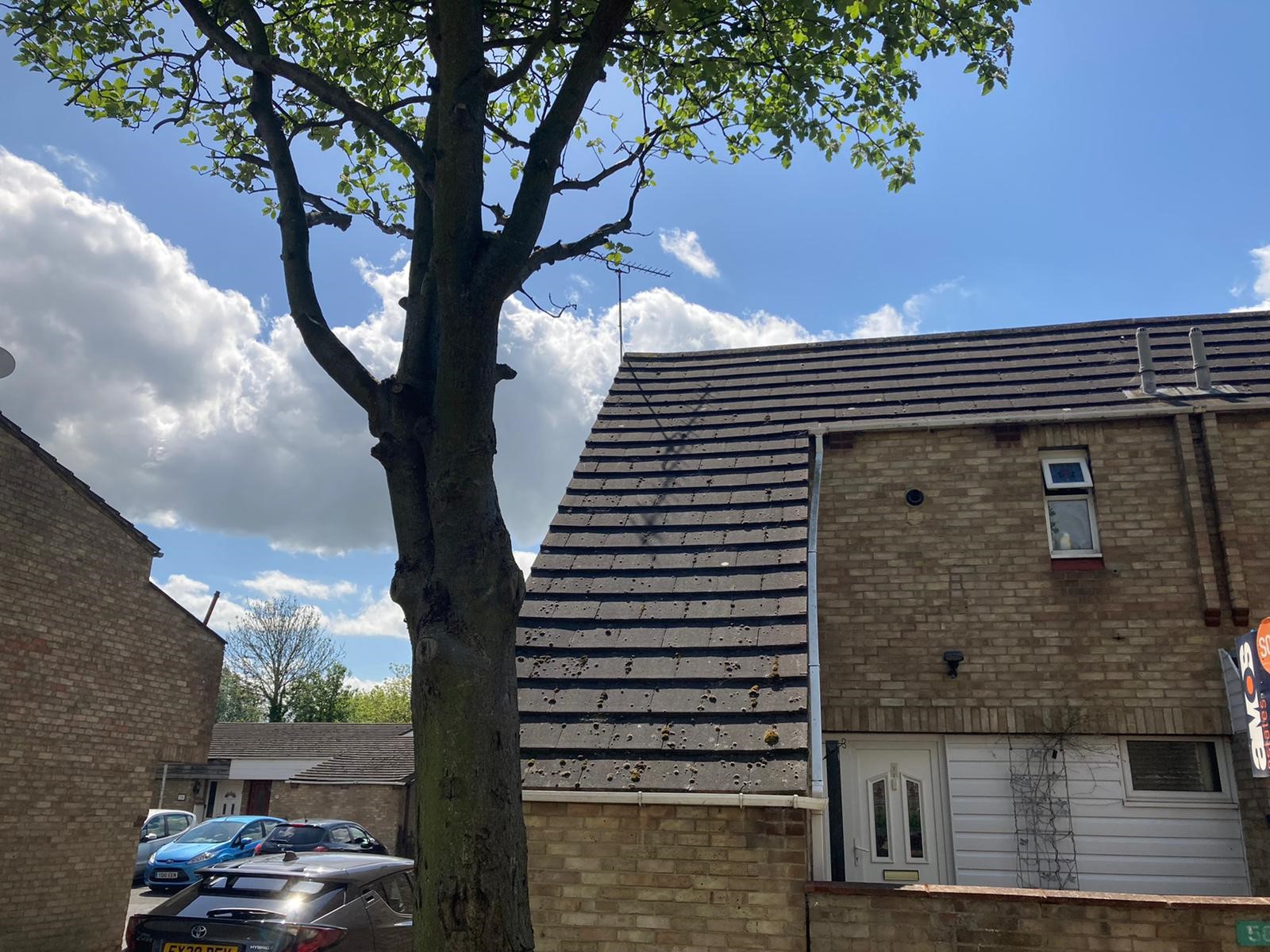 58, Basildon photo 3