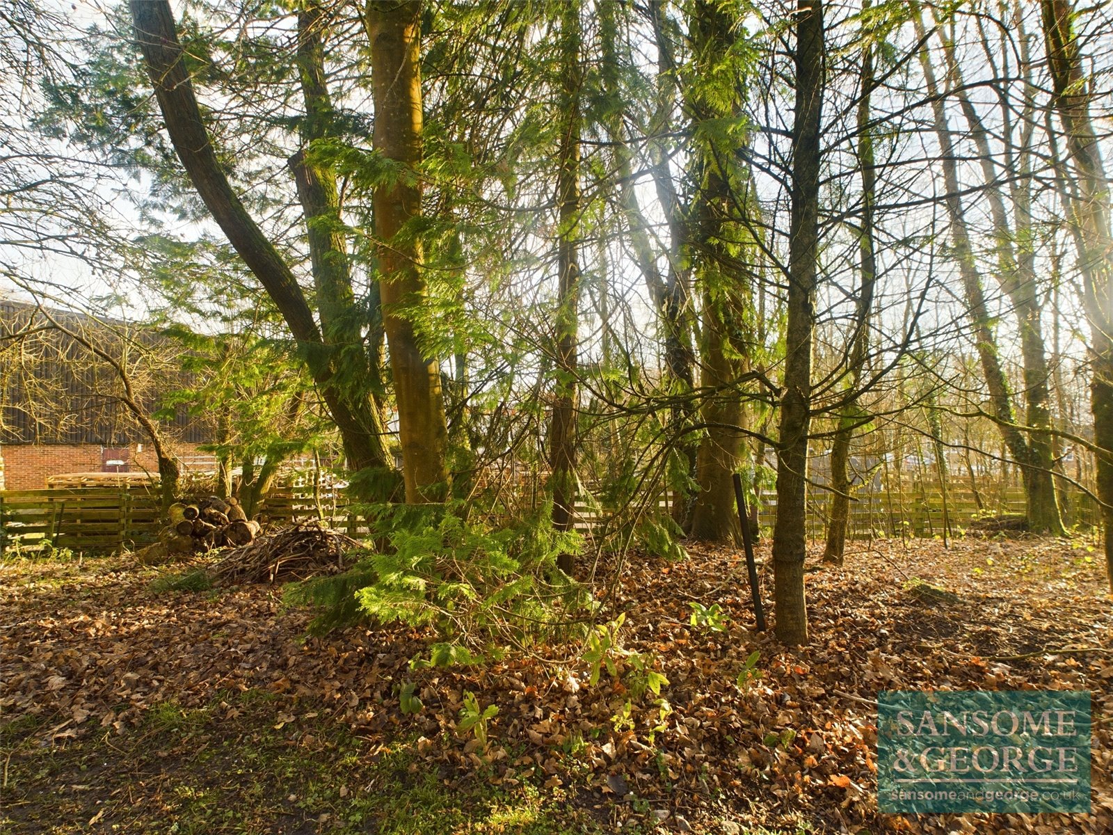 Photos of Monk Sherborne Road, Ramsdell, Tadley, Hampshire RG26