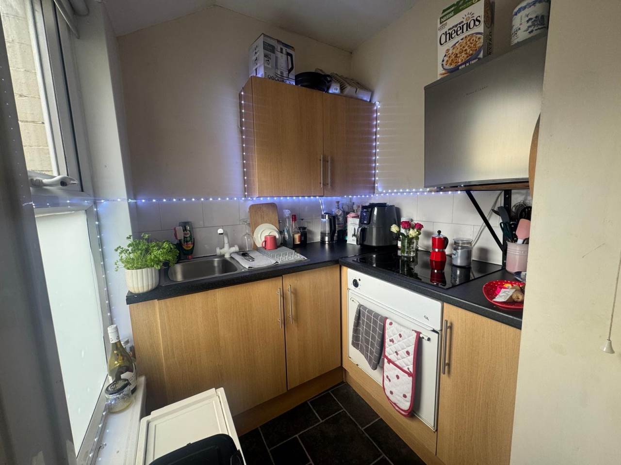14 Cambrian Place, Aberystwyth photo 4