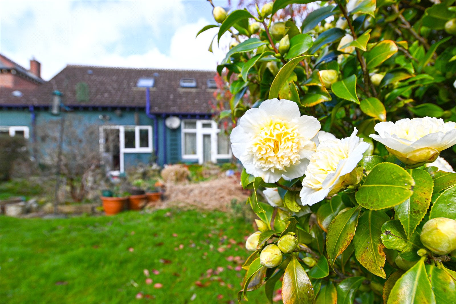 Photos of Willow Avenue, Edgbaston, West Midlands B17 64257587