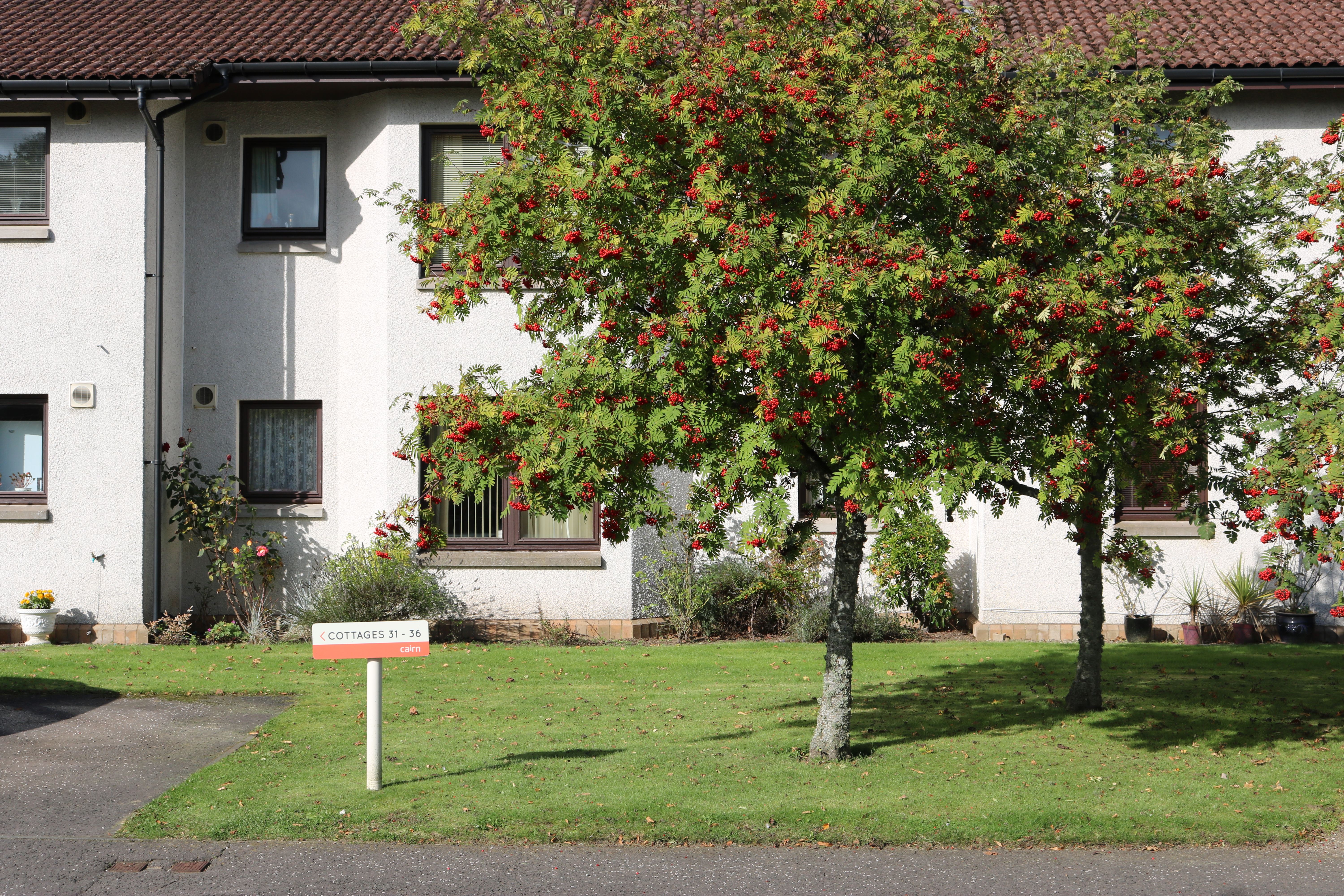 Cluny Court, Blairgowrie, Blairgowrie photo 5