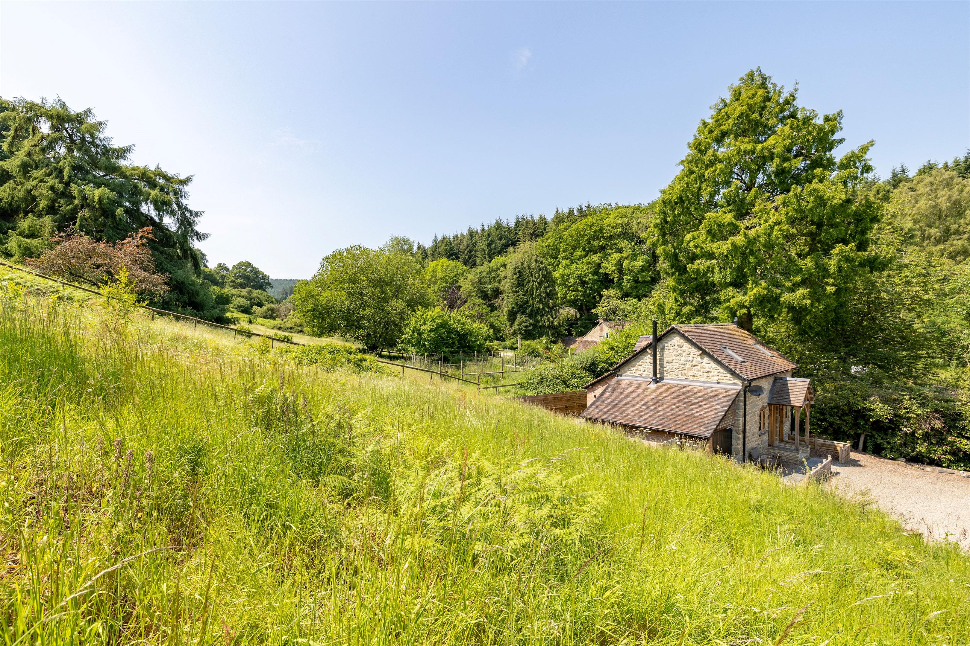 Photos of Richards Castle, Ludlow, Shropshire SY8 64951962