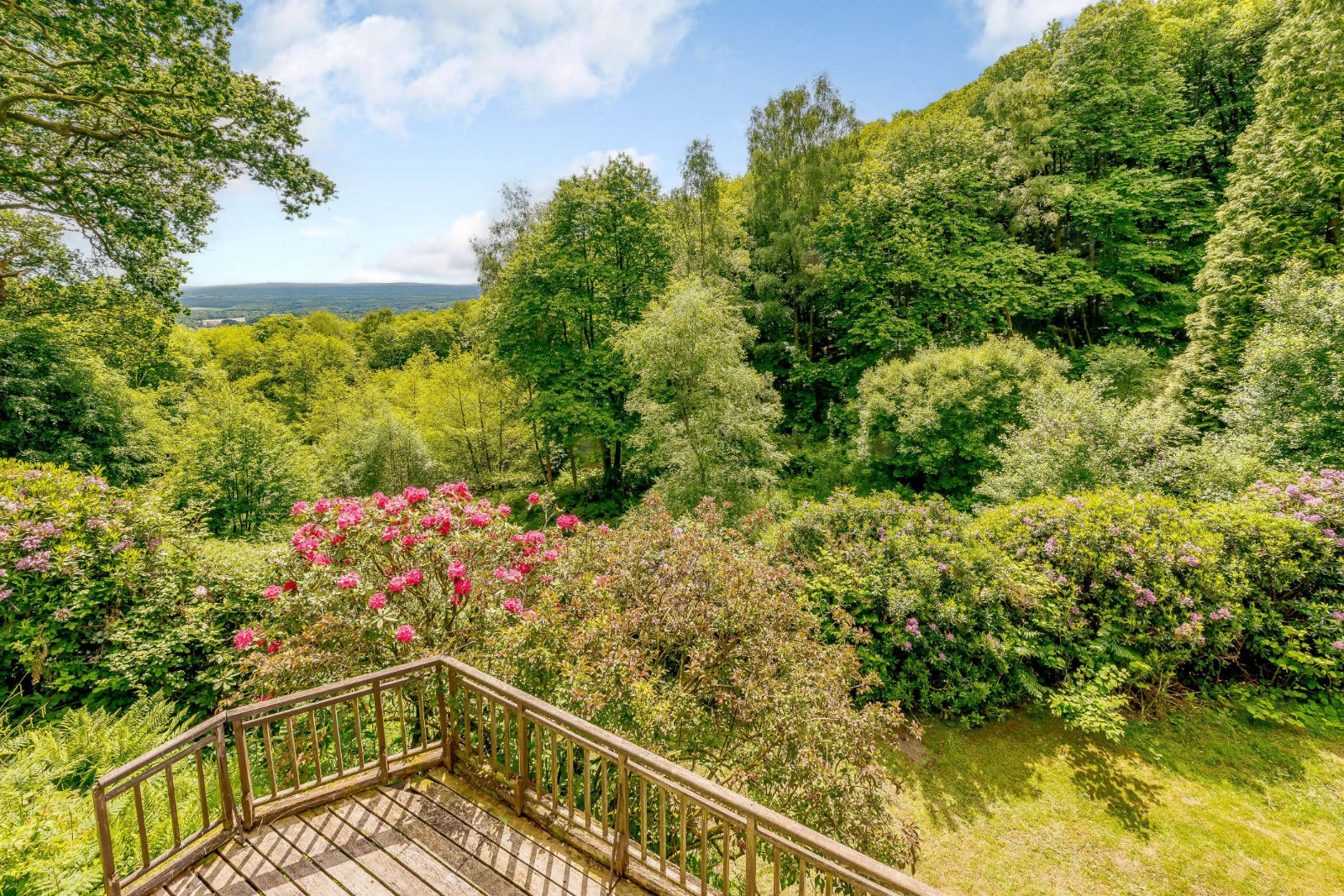 Photos of Tennysons Lane, Haslemere, West Sussex GU27 65733841