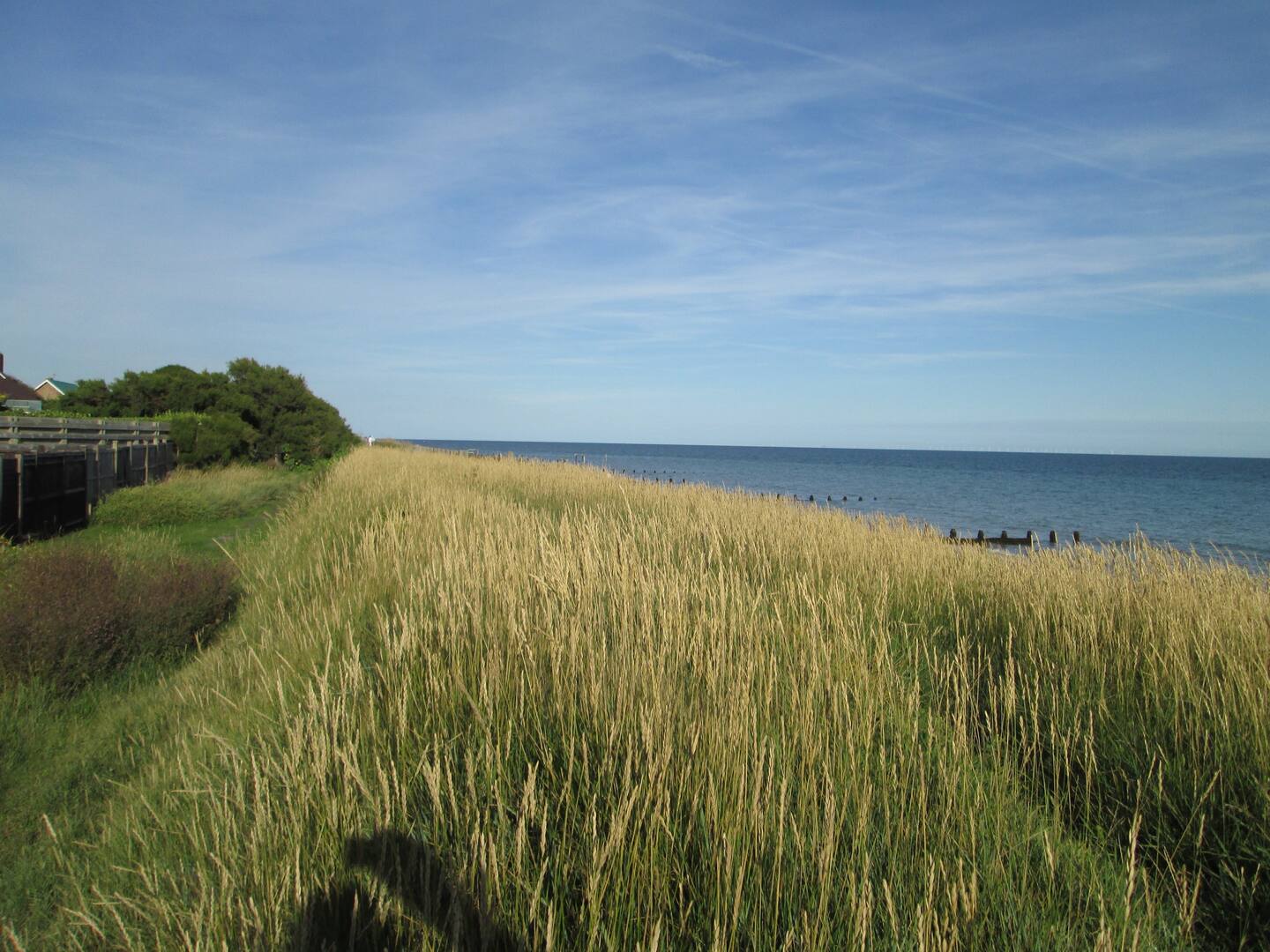 Photos of Sea Drive, Felpham PO22 64443265 PrimeLocation