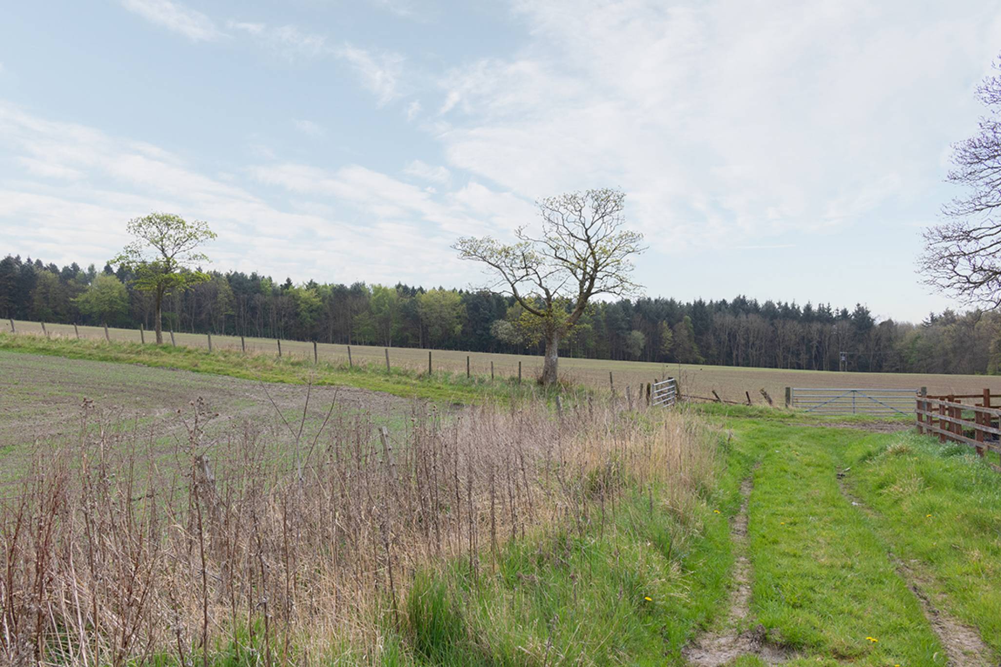 Photos of Fordell Estate, Hillend, Dunfermline, Fife KY11 51436147