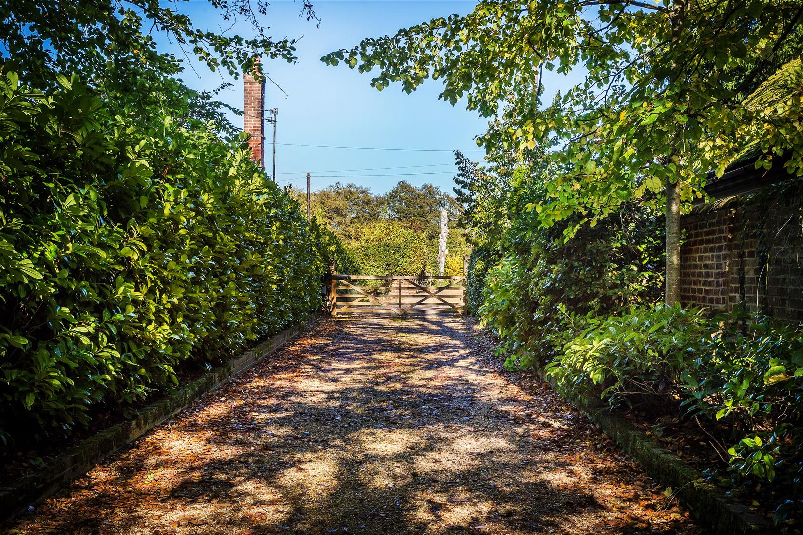 Photos of Rosemary Lane, Alfold, Cranleigh GU6 62428505 PrimeLocation