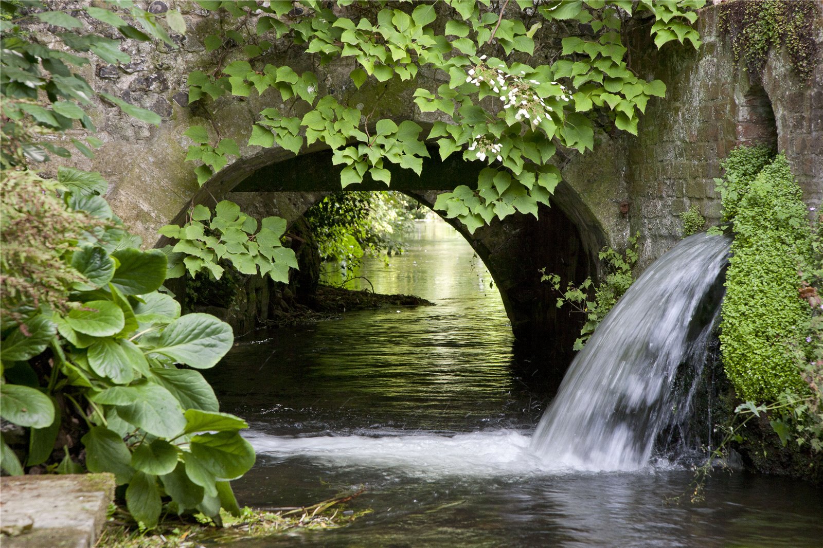 Photos of Colebrook Street, Winchester, Hampshire SO23 65566915