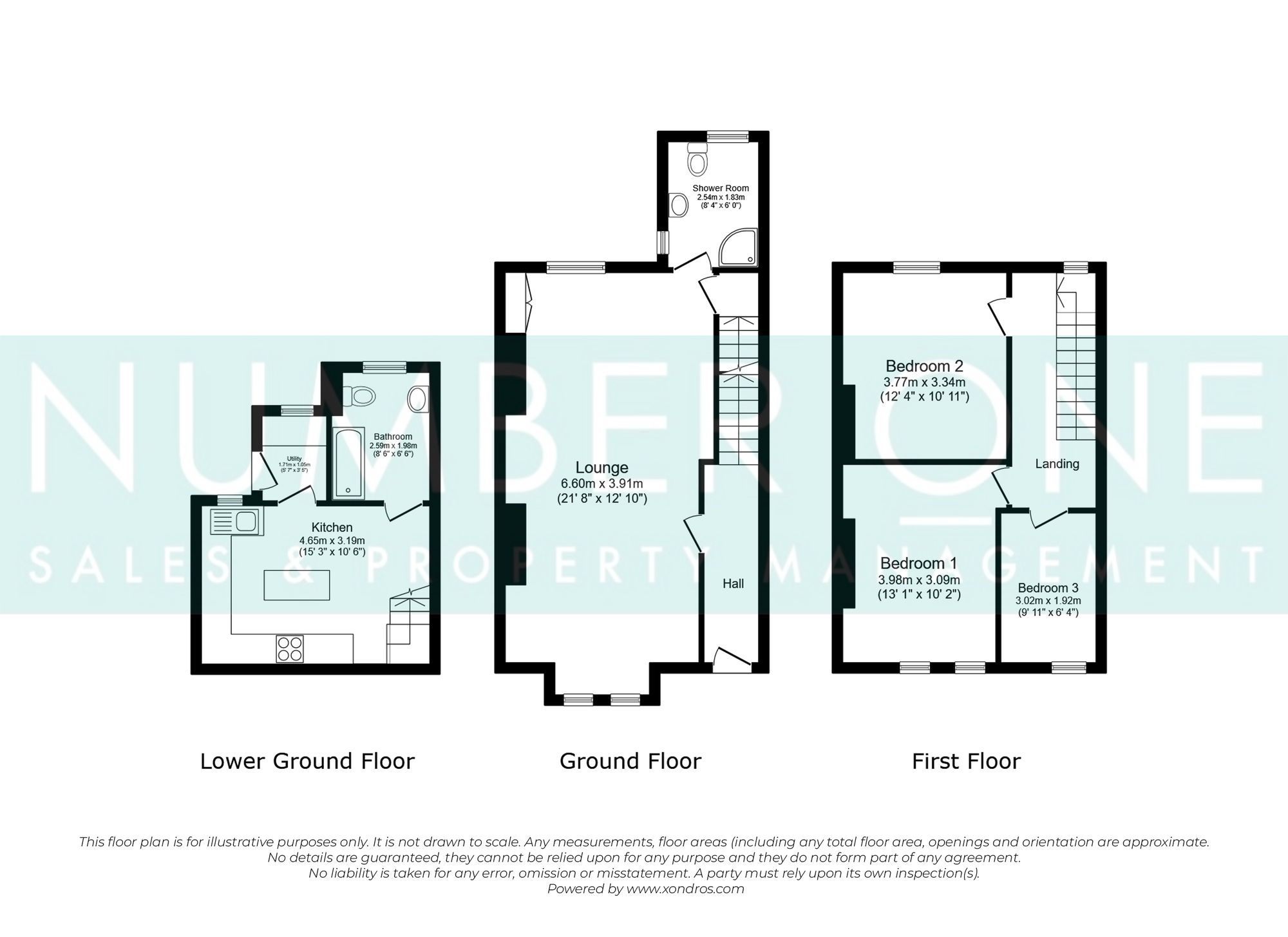 25 Albany Road, Blackwood floorplan